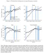 Unraveling the Productivity Paradox: Evidence for Germany